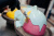 Promobot Robo-С2 Promobot Robo-С2
